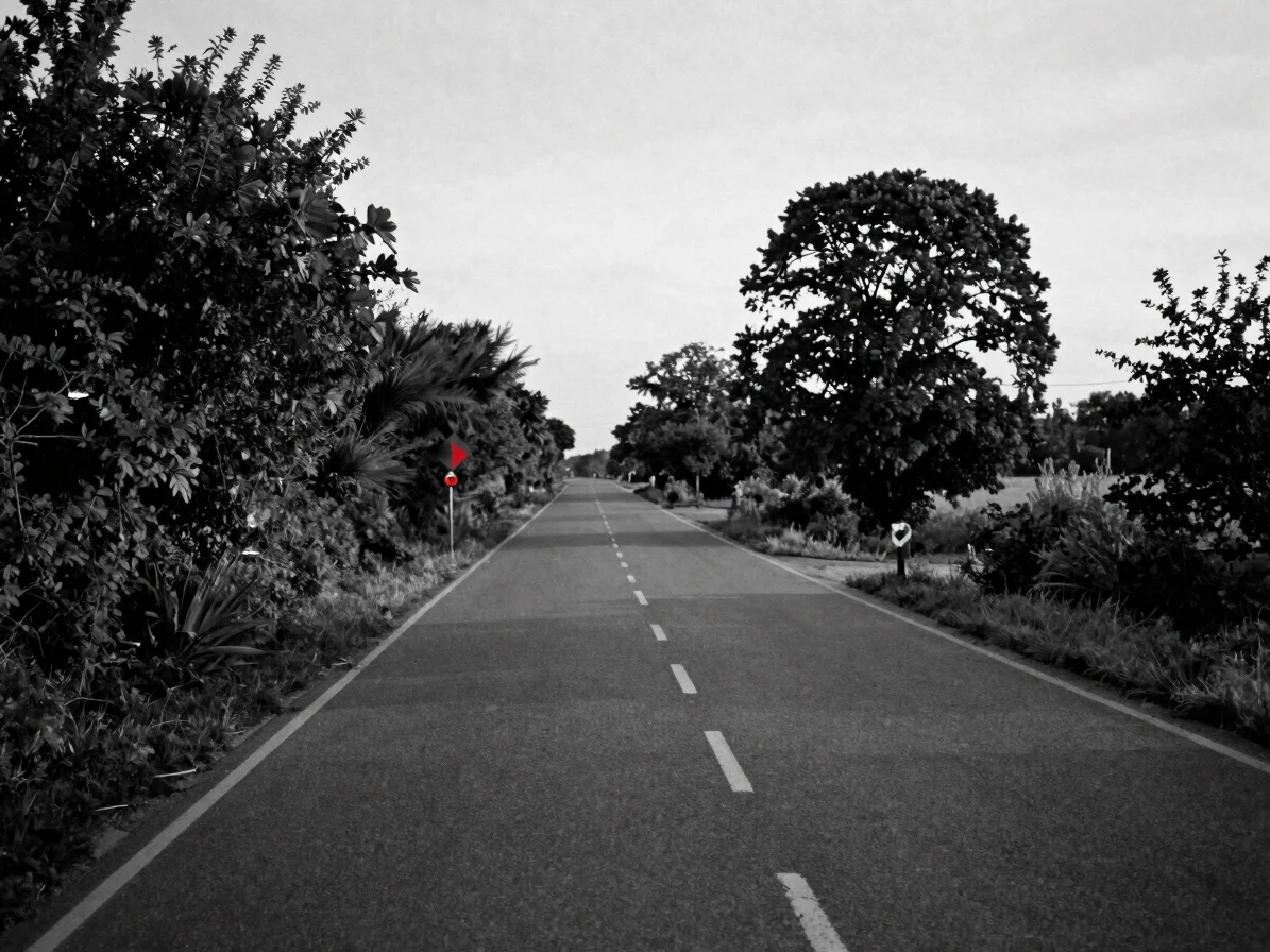 Wide environmental view of a French regional road at dawn, ordina